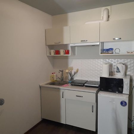 Modern Studio 15 Min To The City Centre Leopoli Esterno foto